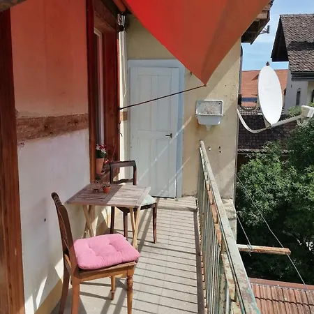 Grosse Charmante Apartment Erlach