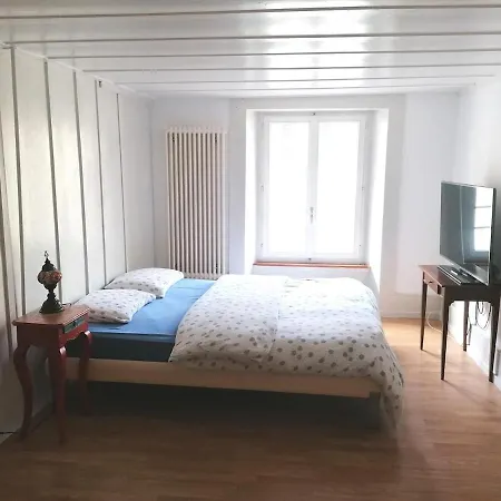 Grosse Charmante Apartment Erlach