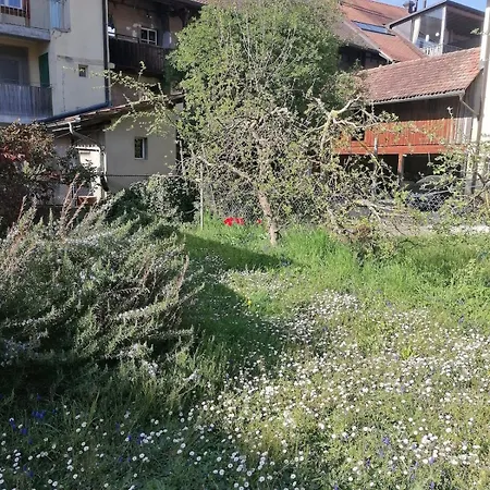 Apartment Grosse Charmante