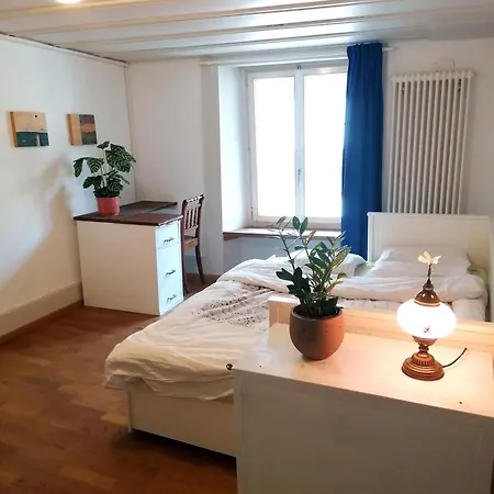 Lägenhet Grosse Charmante Erlach